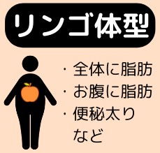 リンゴ体型