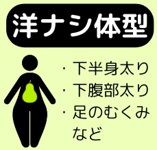 洋ナシ体型